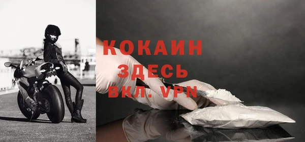 прущий лед Алзамай