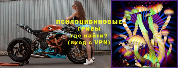 не бодяженный Алексин